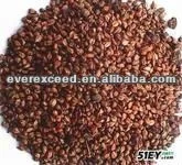 
High quality with competitive price Grape Seed P. E. 