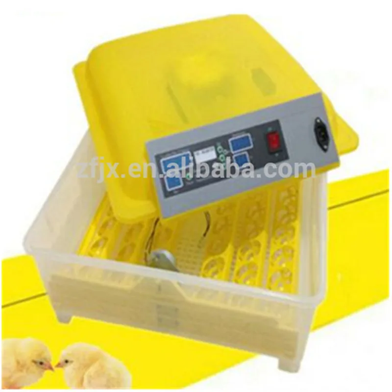 Home Used Mini Chicken Egg Incubator Hatch Egg Machine for Hatching 48 Eggs