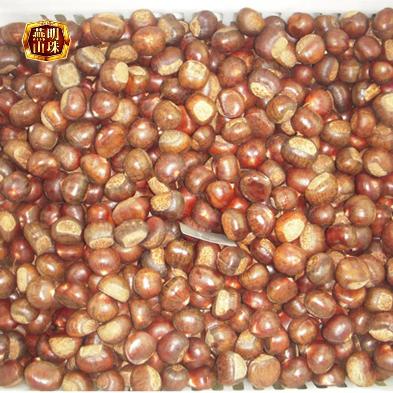 2020 Best Organic Chinese Fresh Raw Yanshan Chestnuts for Sale