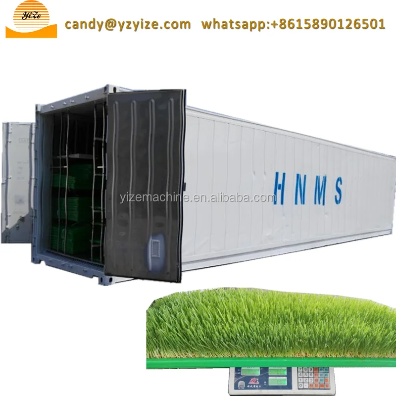 Millet grass fodder sprouting machine, automatic green animal hydroponic fodder making machine