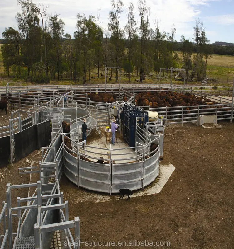Новый забор для крупного рогатого скота высокого качества