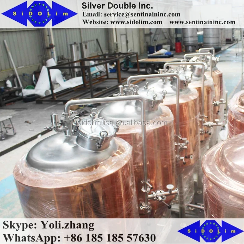 sartorius bioreactor beer keg fermenter mini conical fermenter