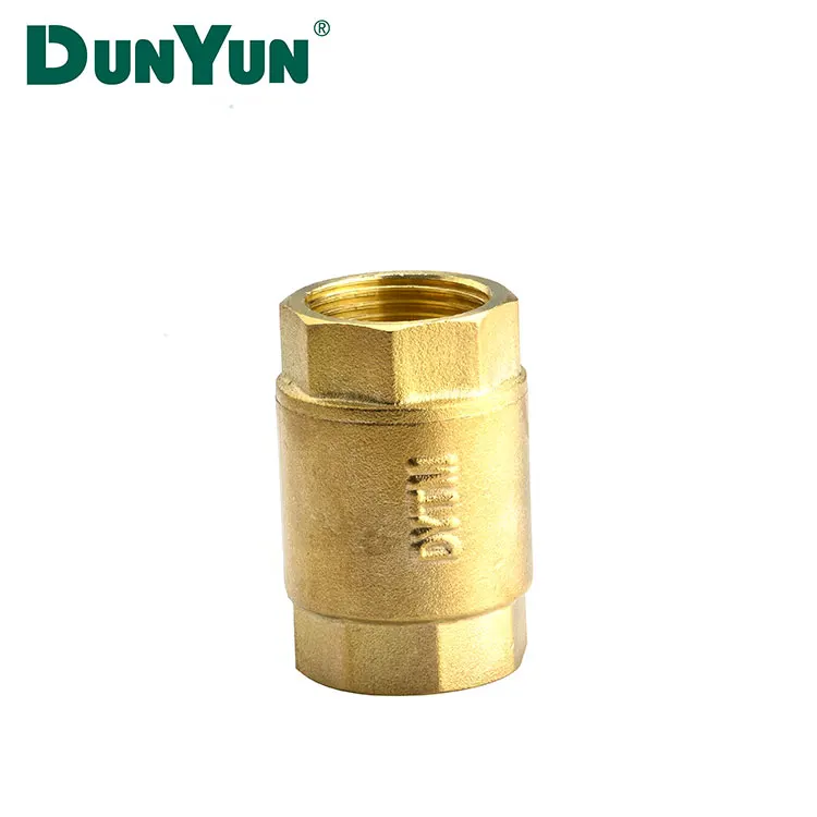 1/2 - 2 Inch Water Vertical Small Spring Flap Brass Check Valve