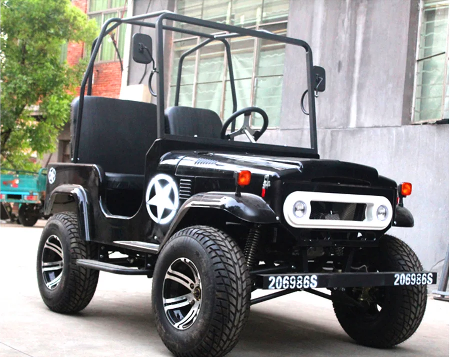 2-person-3 person electric golf cart