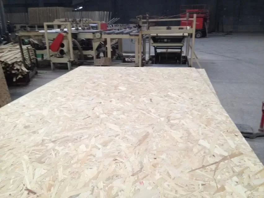OSB board plywood for construction
