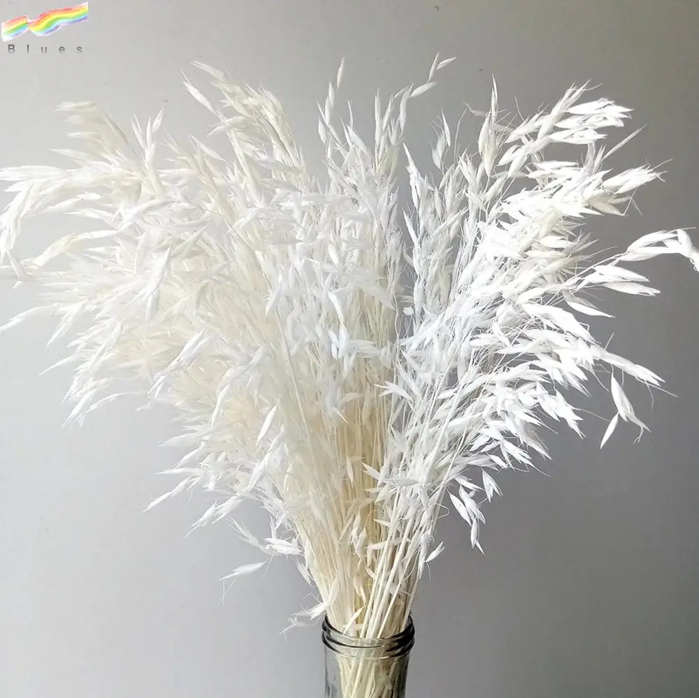 Preserved Dried Grass Bouquet Wheat Natural Wild Oats Flower Bunch Dry Avena Sativa herb