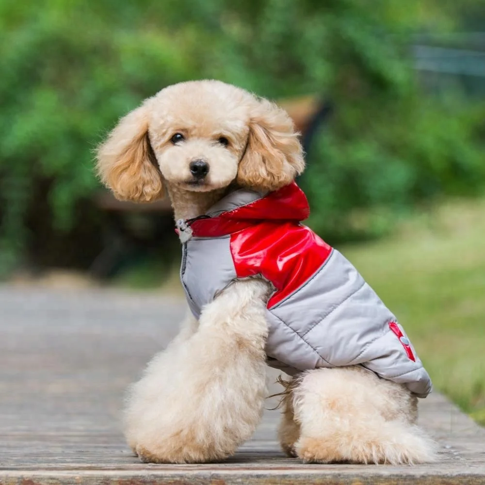 Wholesale Winter Warm Dog Clothes and Pet Apparel Accessories Waterproof Dog Coat with Hood