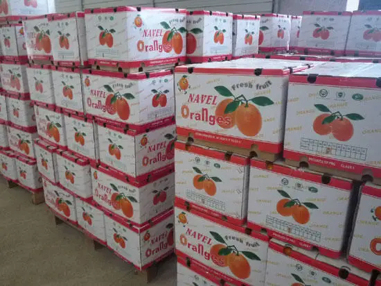 
Fresh nanfeng honey mandarin from China 