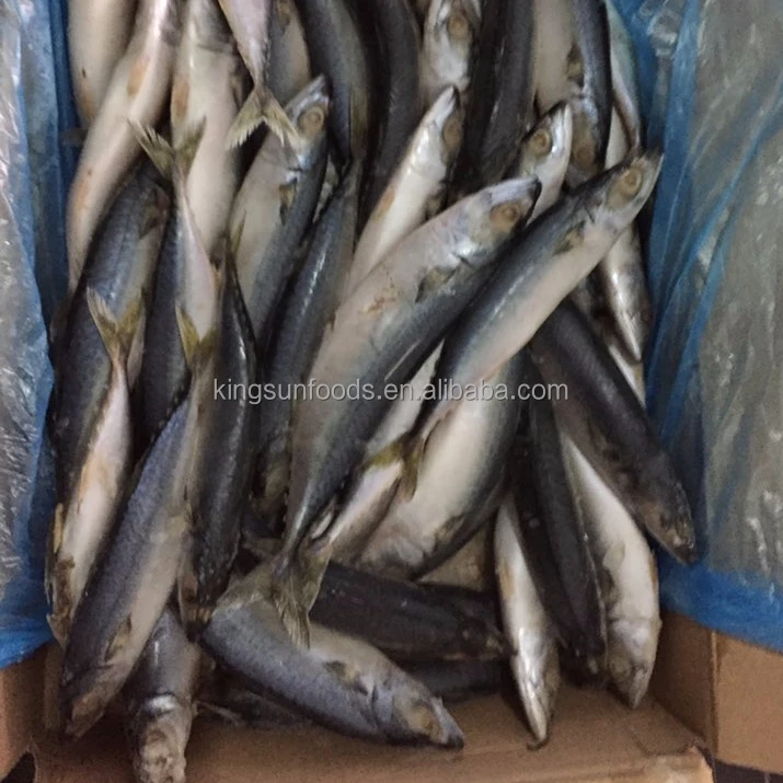 Chub mackerel saba mackerelBest, замороженная Тихоокеанская скумбрия лучшего качества