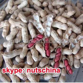 
Red Skin Peanut Kernels 50/60 