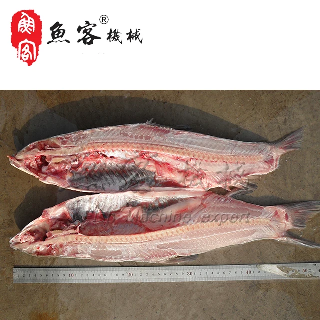Hot Sale Factory Price Fish Processing Machine Fish Fillet Cutting  Machine fish cutter with CE