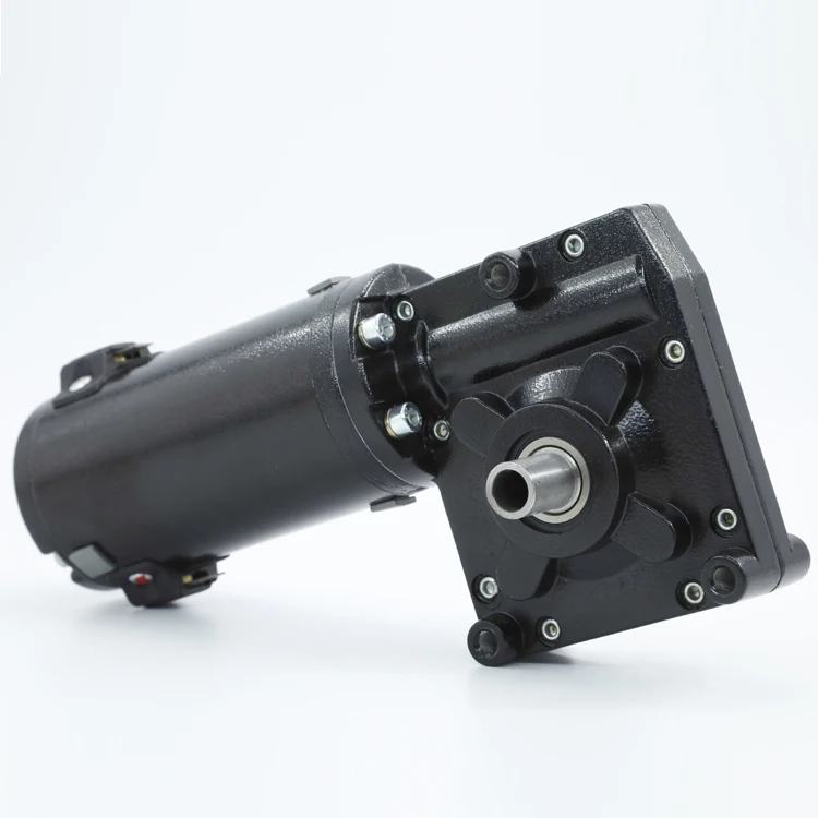 
73ZY12-102WJ 12V 24V 180W-320W Permanent Magnet worm gear Electric Golf Buggies Trolley DC Motor 