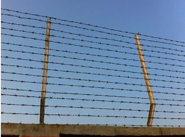 Low Price Galvanized Concertina Razor Wire/Razor Barbed Wire