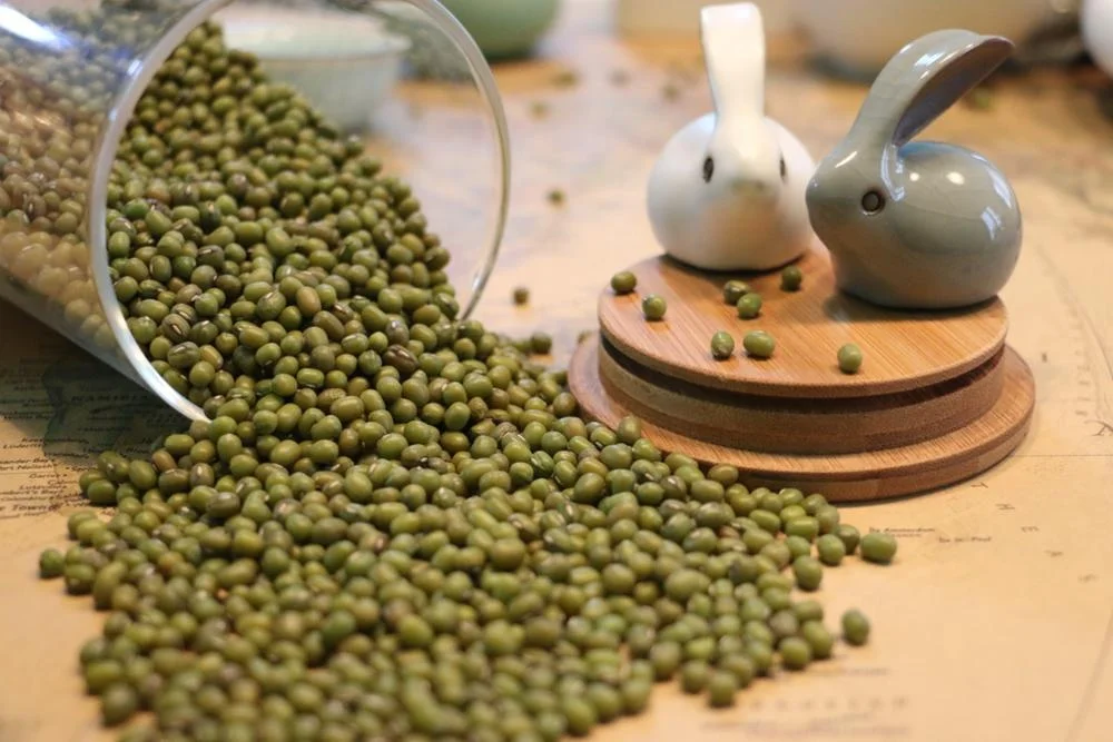 
100% Natural Organic Polished Green Mung Bean For Sprouts 