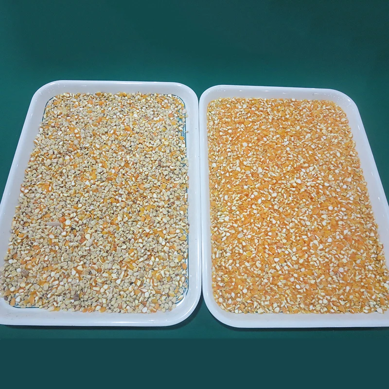 Corn Seed Processing Plant Corn Grain Separating Machine Corn Seed Separator
