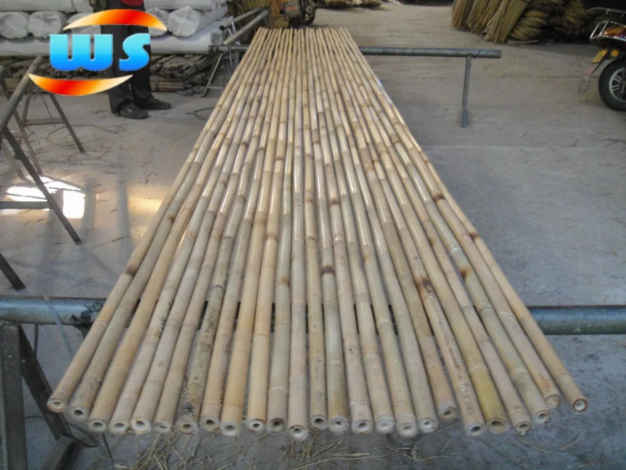 Tonkin bamboo  cane
