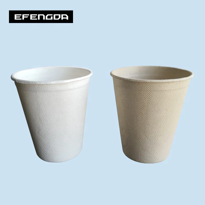 Eco-Friendly biodegradable disposable sugarcane bagasse tableware plates bowls boxes cups