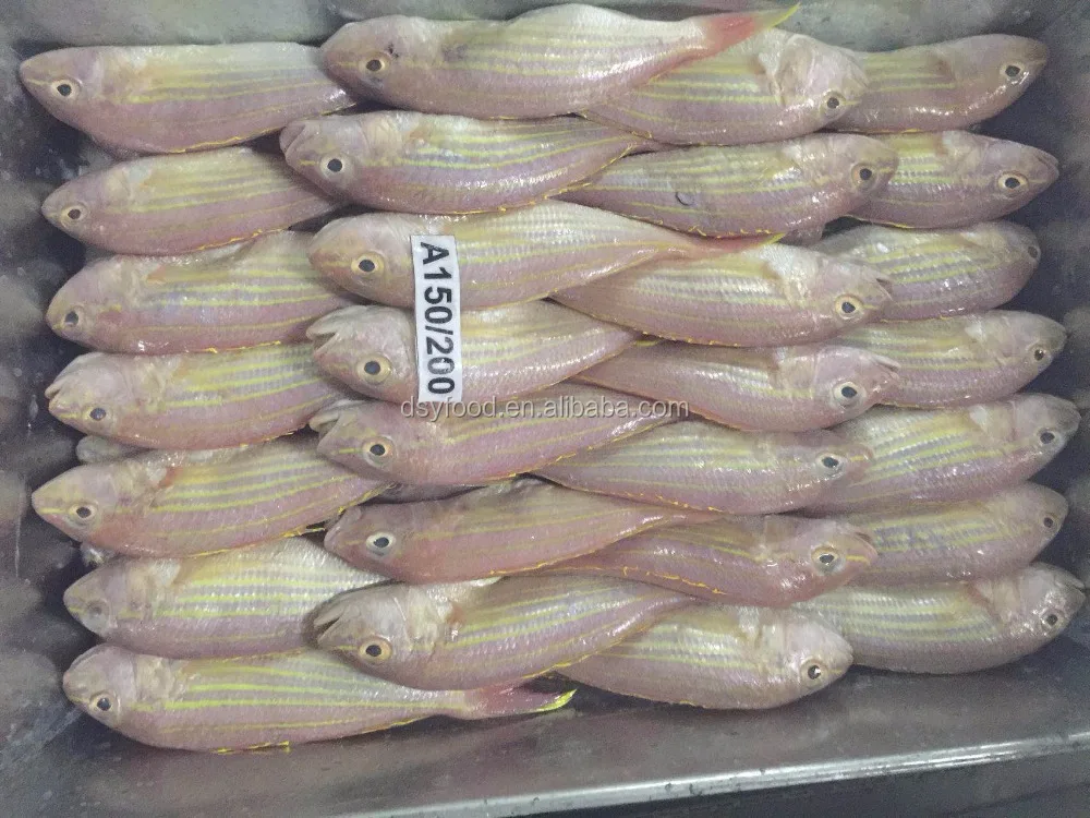 Frozen threadfin bream best price for sale
