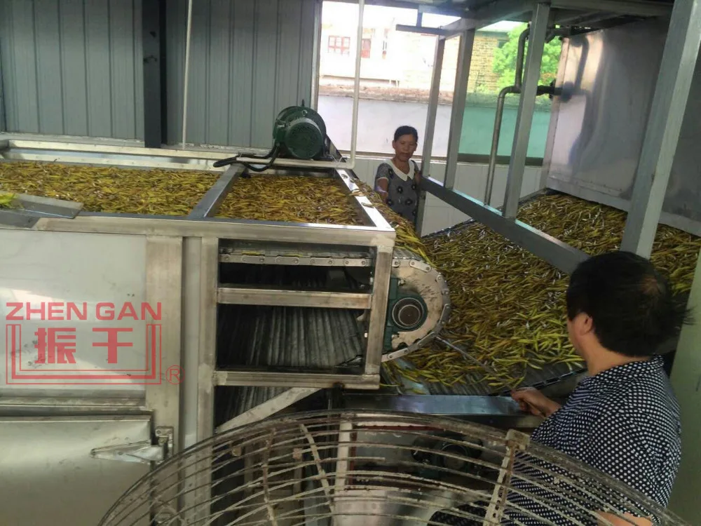 Belt Mesh Dryer for Day Lily/Day Lily/Vegetable Production Line Drying Machines