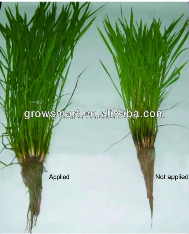 NPK Seaweed Liquid Garden Organic Fertilizer For Weed Plant