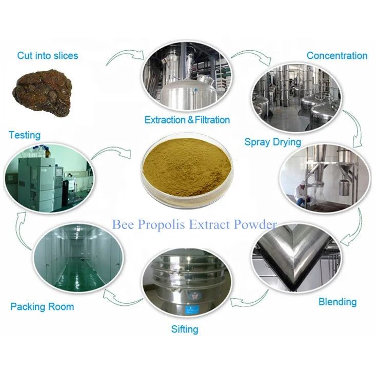 Высококачественный чистый натуральный порошок экстракта прополиса для пищевых добавок
