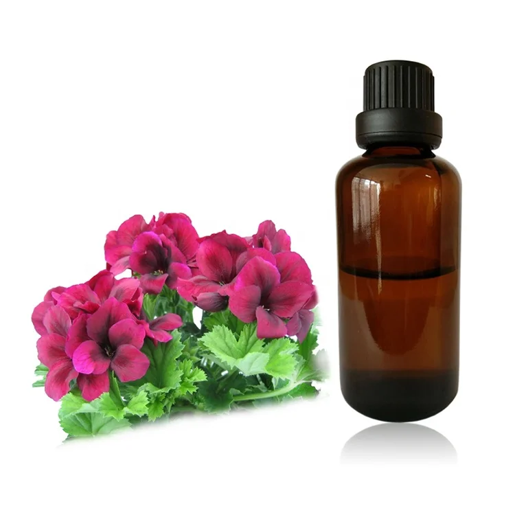 High quality  leaving fragrance skin care geranium pure essential oil for body