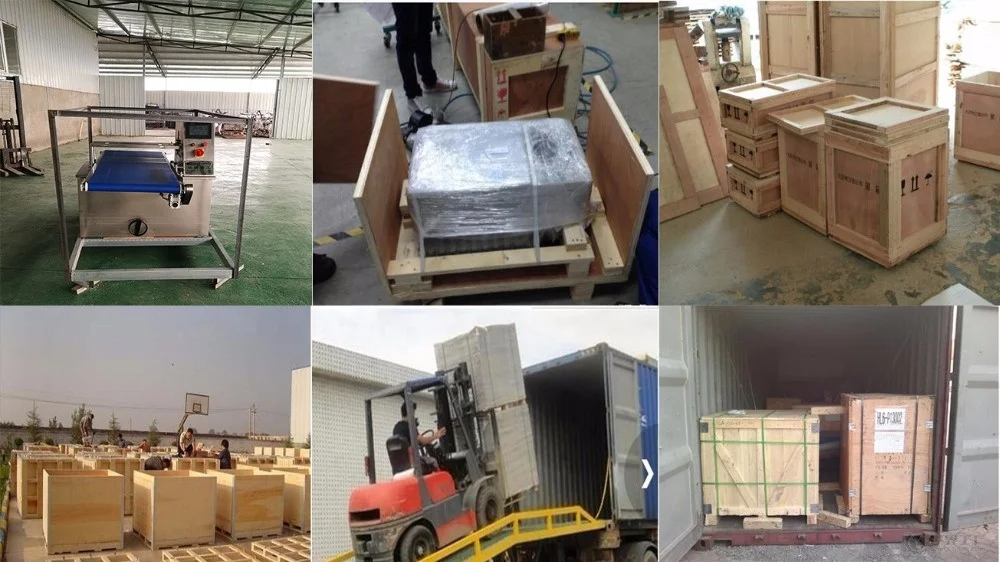 China Professional Supplier GT-100 Automatic Egg Breaking Production Equipment 20000Eggs/Hour
