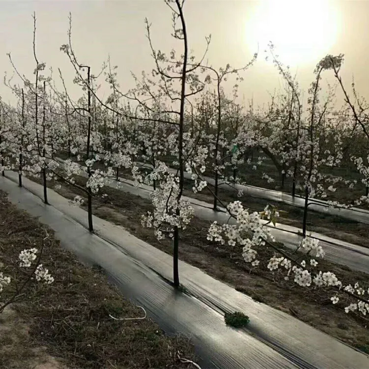 
garden weed control mat fabric 