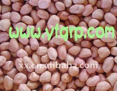 
Round peanuts kernels 35/40 40/50 50/60 60/70 80/100 