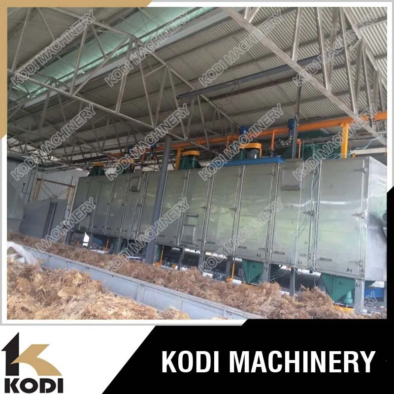 KODI Continous Seaweed Mesh Conveyor Belt Dryer/Drying Machine