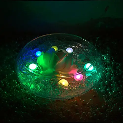 KITOSUN Fairy LED Pearls, Battery Operated Magical LED Berries Swimming Pool Floating Mini LED Light Ball for Flower Vases Decor