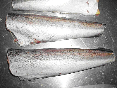 Высококачественная машина для фильтрации рыбы, продажа с завода