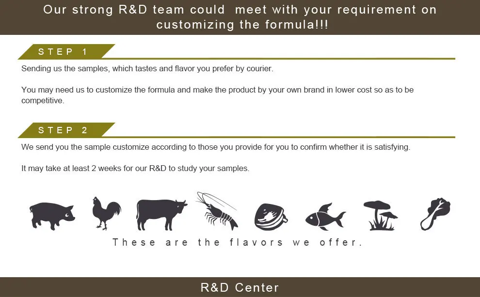 No MSG Meat Extract Dried Instant Bouillon Beef Flavor Seasoning