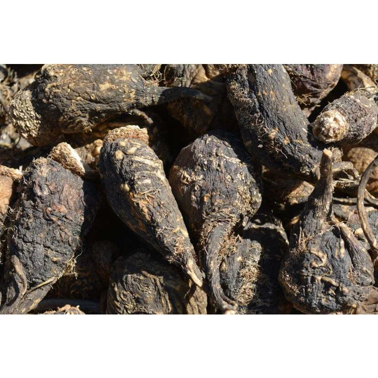 Manufacture Supply  Black Peru Maca Root Extract Powder For Sexual Health