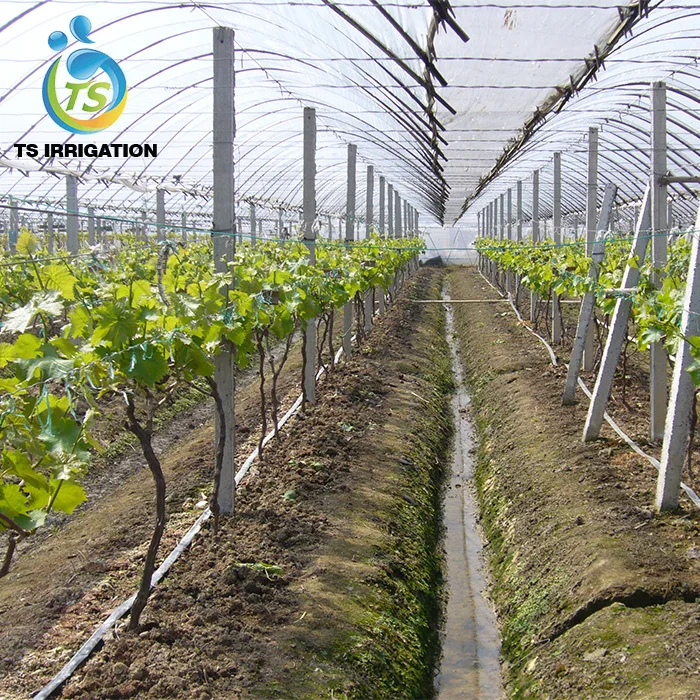 Система капельного орошения Ts для деревьев в наборах для полива