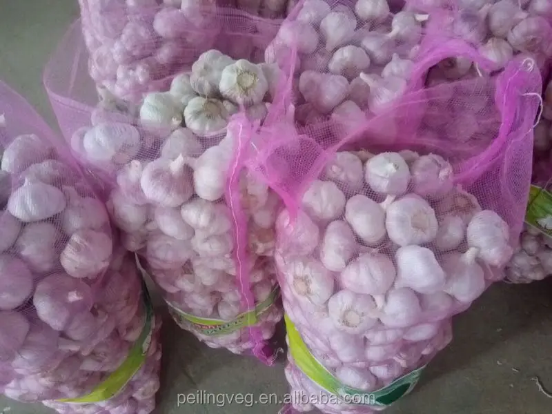 fresh garlic China factory 2018