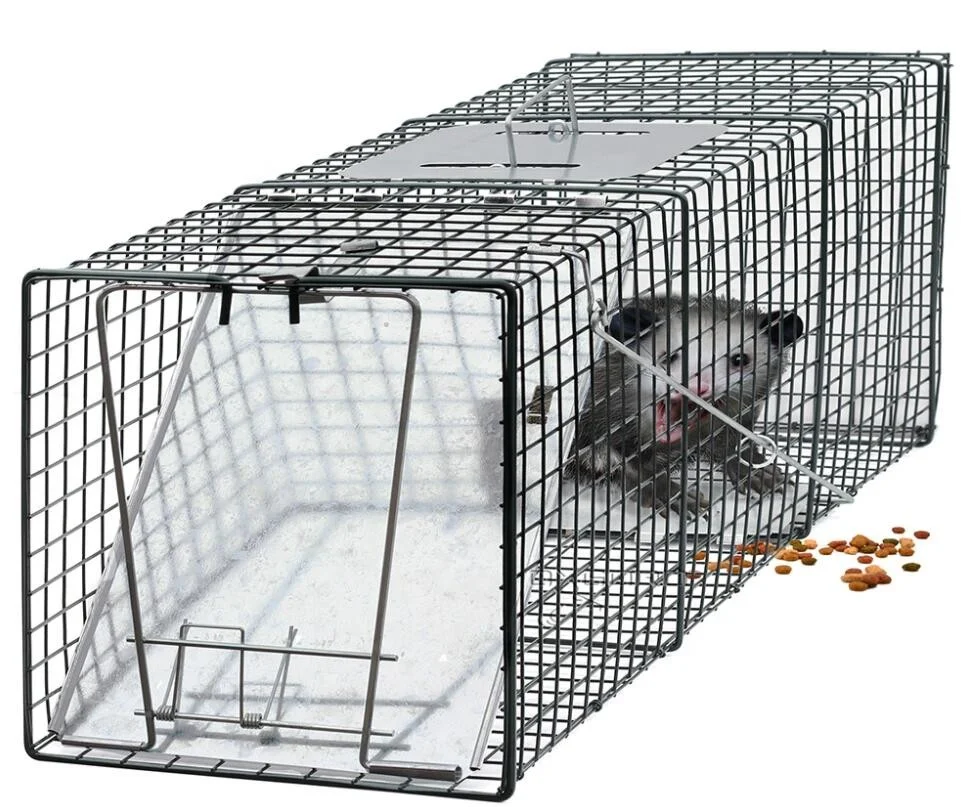 galvanized mesh Live Animal Trap/humane animal trap