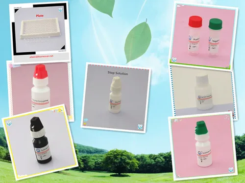 enzyme immunoassay Epstein Barr Virus VCA IgA EBV IgA ELISA test kit