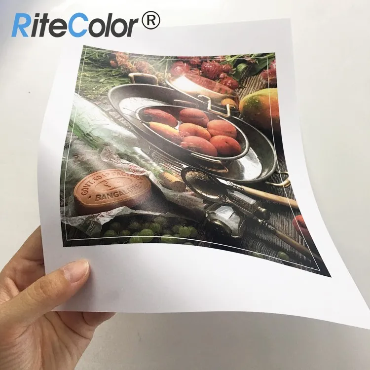 Waterproof 240gsm RC Coated Inkjet Matte Photo Paper Roll for Pigment Dye Ink