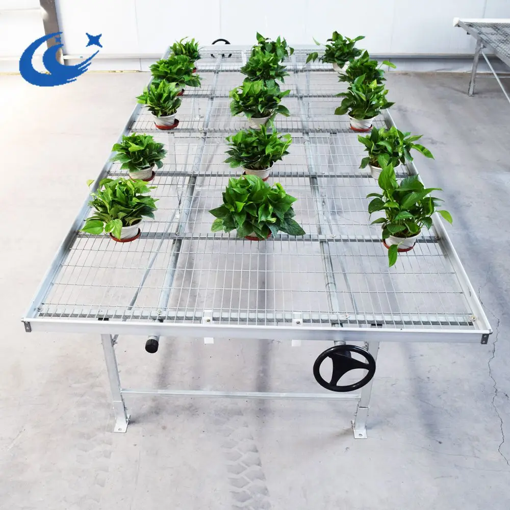Hot Dipped Galvanized movable Greenhouse Seedbed benches Planting