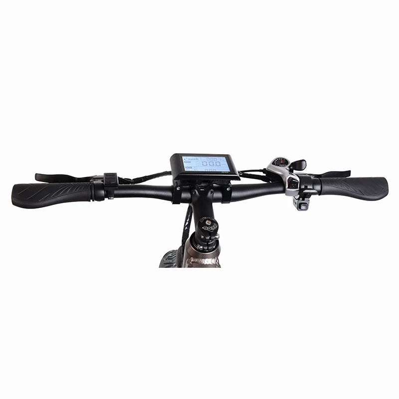 
China Wholesale Chopper Electric Bike for Exercise 