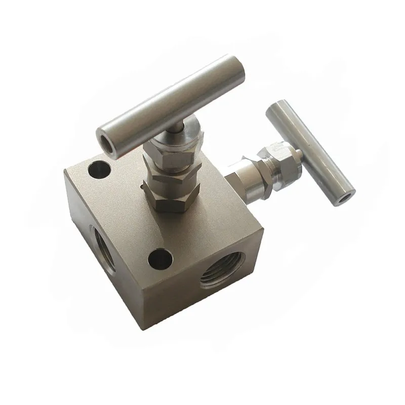 2way manifold 2-port pressure test manifold