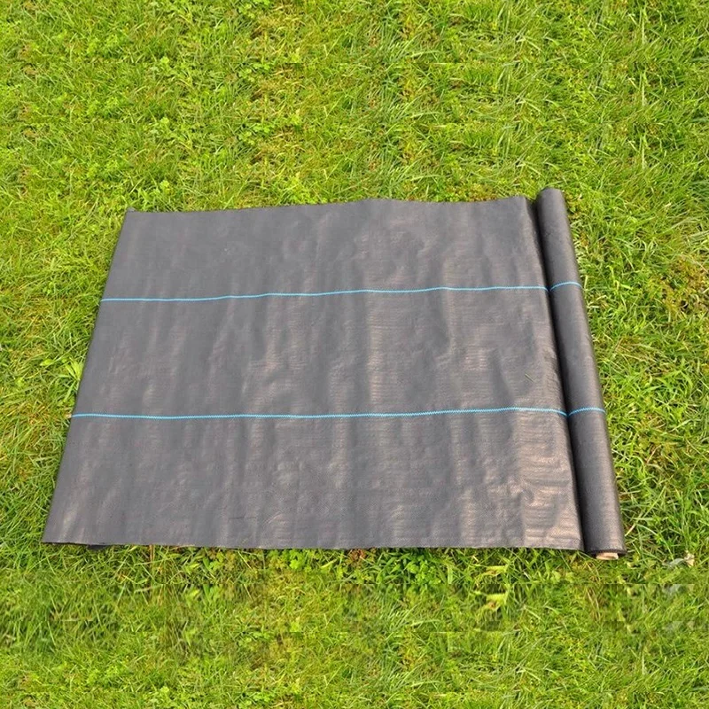 
china wholesale high quality plastic mulch layer with hole anti insect net in malaysia for airport road repair 