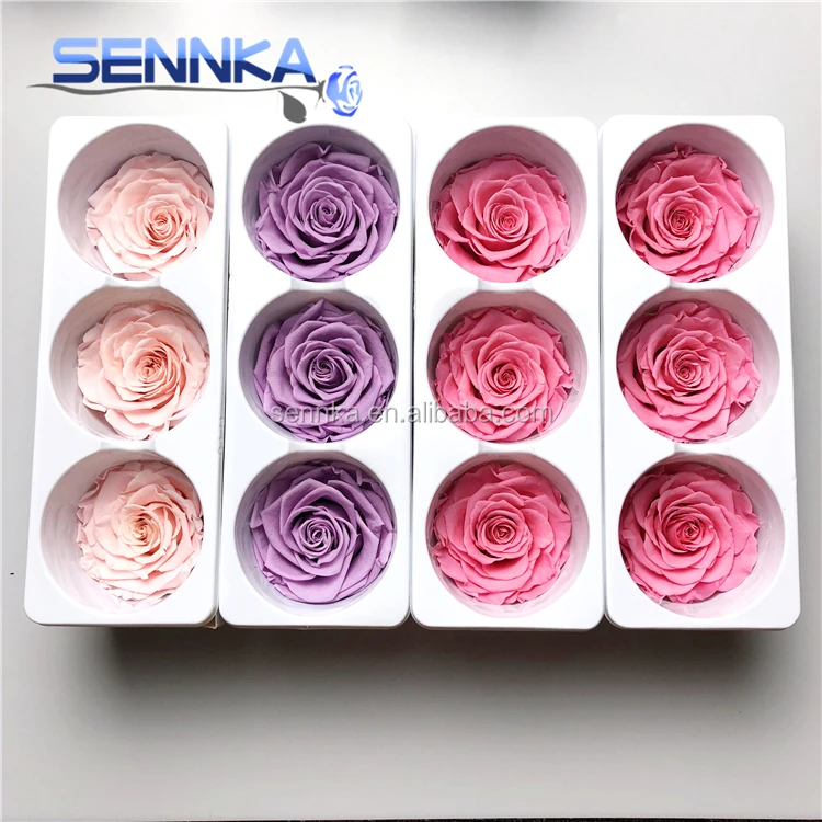 Preserved Rose Eternal Dried Flower Birthday Party Wedding