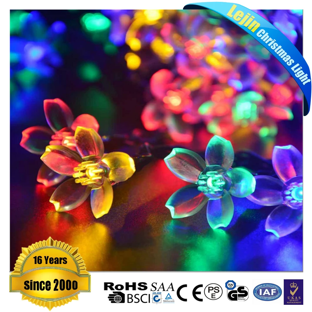 Красочный Цветок Огни Строки Открытый