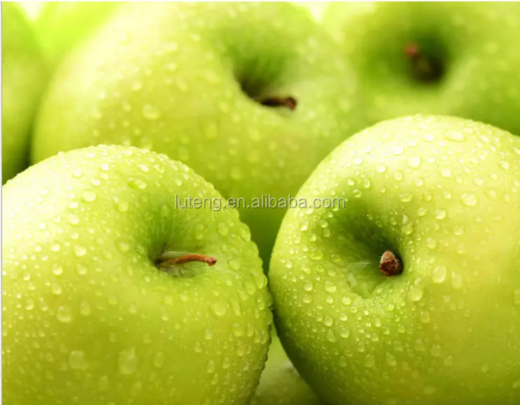 New crop bulk fresh green apples organic from Shandong