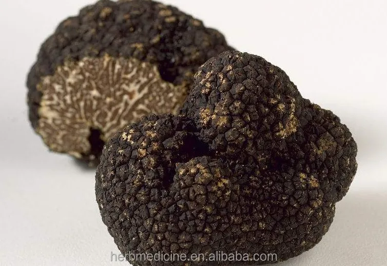 
Edible precious mushrooms natural sliced perigord truffle Tuber melanosporum 