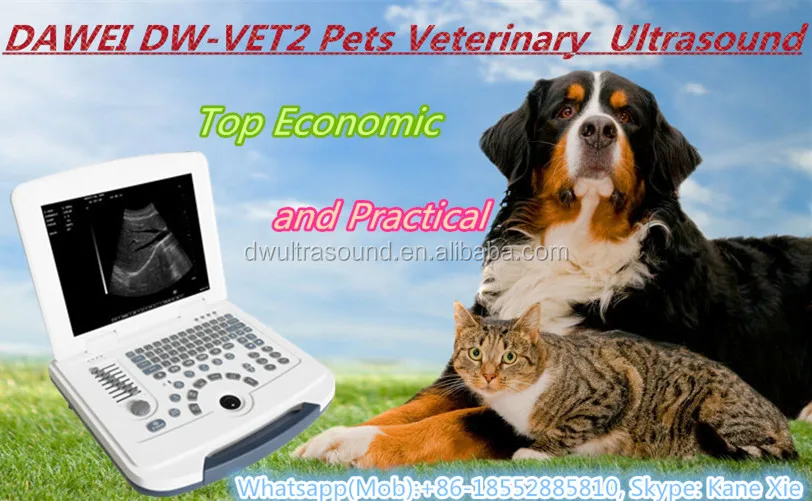 DW-VET2 full digital ultrasound scanner for veterinary/USG scanner instrument with competitive price pet hospital