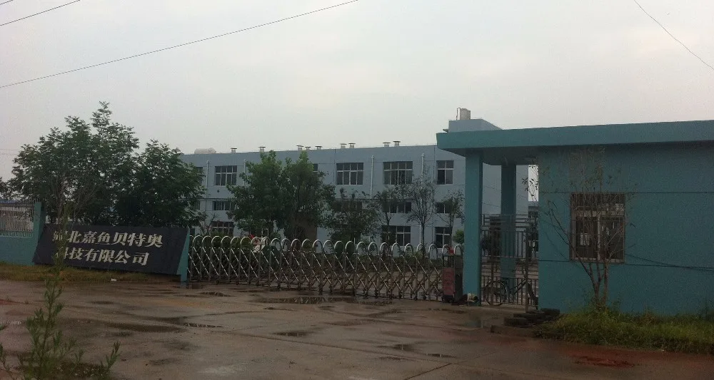 
Hot Sale Best Quality Branched Amino Acid BCAA 