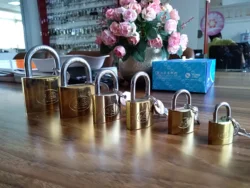 Cheap and Popular Mid-heavy Duty Gold Plated/Nickel Plated/Chrome Plated Arc Type Padlock
